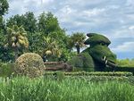 Le dragon géant est arrivé à Terra Botanica à Angers : " La plus grande mosaïculture de France émerveille nos visiteurs "