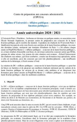Année universitaire 2020 / 2021 - (CIPCEA) Diplôme d'Université " Affaires publiques - concours de la haute - Université Paris 1 ...