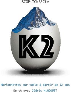 SCOPITONE&CIE - MARIONNETTES SUR TABLE À PARTIR DE 12 ANS DE ET AVEC CÉDRIC HINGOUËT - SCOPITONE & CIE