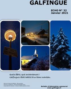 GALFINGUE ECHO N 32 Janvier 2021