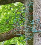 DOMAINE DE CHAUMONT-SUR-LOIRE CENTRE D'ARTS ET DE NATURE - Domaine de ...
