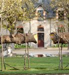 DOMAINE DE CHAUMONT-SUR-LOIRE CENTRE D'ARTS ET DE NATURE - Domaine de ...