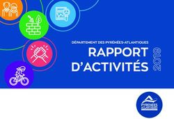 RAPPORT D'ACTIVIT&Eacute;S 2 - D&Eacute;PARTEMENT DES PYR&Eacute;N&Eacute;ES-ATLANTIQUES - Le64