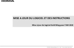 MISE A JOUR DU LOGICIEL ET DES INSTRUCTIONS - Mise à jour du logiciel Gold Wing pour l'AM 2020