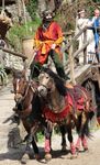 " La Légende des Chevaliers " - Provins en Seine et Marne - Equestrio