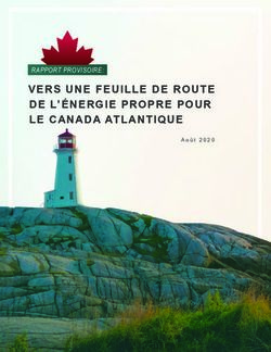 VERS UNE FEUILLE DE ROUTE DE L'&Eacute;NERGIE PROPRE POUR LE CANADA ATLANTIQUE - RAPPORT PROVISOIRE