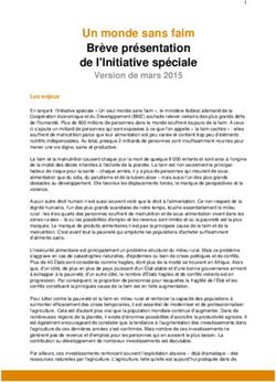 UN MONDE SANS FAIM BRÈVE PRÉSENTATION DE L'INITIATIVE SPÉCIALE - GIZ