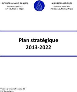 Plan strat&eacute;gique 2013-2022 - AUTORITE DU BASSIN DU NIGER - Issa BIKIENGA