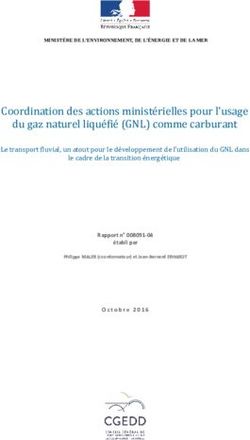 Du gaz naturel liquéfié (GNL) comme carburant