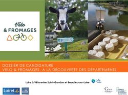DOSSIER DE CANDIDATURE VELO & FROMAGES, A LA D&Eacute;COUVERTE DES D&Eacute;PARTEMENTS - Loire &agrave; V&eacute;lo entre Saint-Gondon et Beaulieu-sur-Loire - Tourisme Loiret