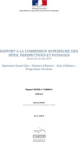 RAPPORT A LA COMMISSION SUPERIEURE DES SITES, PERSPECTIVES ET PAYSAGES