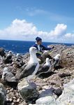 Accord sur la conservation des albatros et des p&eacute;trels - R&eacute;sultats des dix premi&egrave;res ann&eacute;es 2004 2014