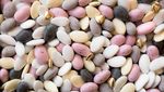 La Bonbonni&egrave;re chocolats s&eacute;lection 2020 - confiseries - drag&eacute;es - La Bonbonni&egrave;re