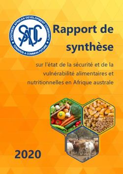 Rapport de synthèse 2020 - SADC