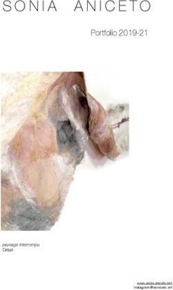 SONIA ANICETO Portfolio 2019-21 - paysage interrompu Détail - GALERIA ARTE LUSÓFONA