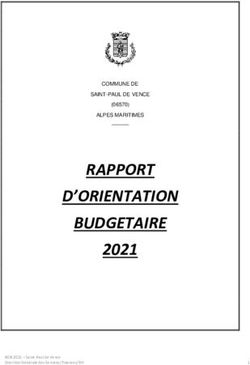 RAPPORT D'ORIENTATION BUDGETAIRE 2021