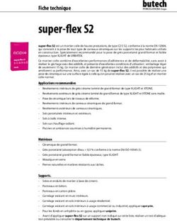 Super-flex S2 Fiche technique - Butech