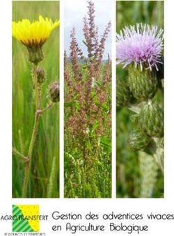 Gestion des adventices vivaces en Agriculture Biologique