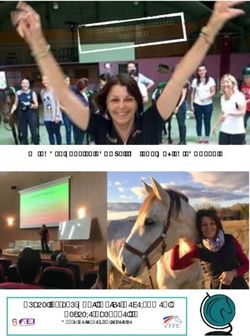 Education and Sport Horse Development Pascale Audonnet - Mon experience à votre service - ESHD