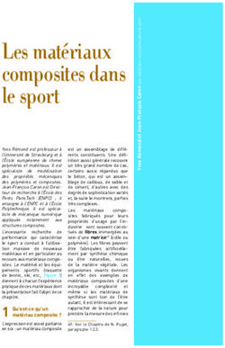 Les matériaux composites dans le sport