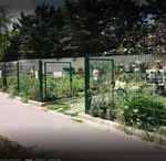 Can Democracy Save the Environment? La d&eacute;mocratie peut elle sauver l'environnement ? - rm .coe. int/C