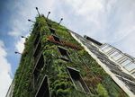 Can Democracy Save the Environment? La d&eacute;mocratie peut elle sauver l'environnement ? - rm .coe. int/C