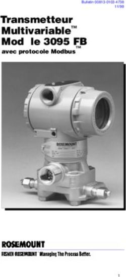 Transmetteur Multivariable Modèle 3095 FB - avec protocole Modbus