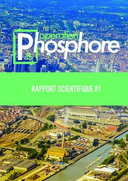 RAPPORT SCIENTIFIQUE #1 - Opération Phosphore