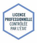 Think large LICENCE PROFESSIONNELLE - IAE Lyon