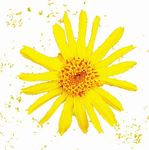 Agir sur-le-champ ! Du 8au16juin 56 animations & 7 expositions concours photo