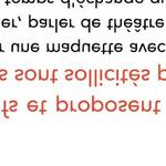 Créations de territoire dans le cadre de la résidence de compagnie à la Maison du Théâtre et de la Danse d'Epinay-sur-Seine Saisons 2019/2022 - Le ...