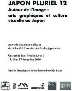 JAPON PLURIEL 12 Autour de l'image : arts graphiques et culture visuelle au Japon - Editions Picquier