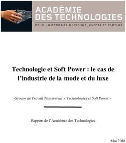 Technologie et Soft Power : le cas de l'industrie de la mode et du luxe - Groupe de Travail Transversal " Technologies et Soft Power " ...