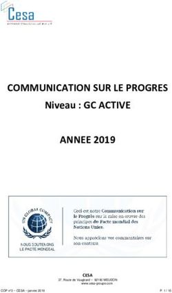 COMMUNICATION SUR LE PROGRES - Niveau : GC ACTIVE - UN Global Compact