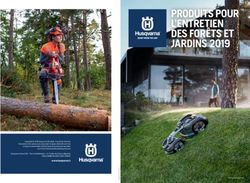 PRODUITS POUR L'ENTRETIEN DES FORÊTS ET JARDINS 2019 - Tronçonneuses de ...