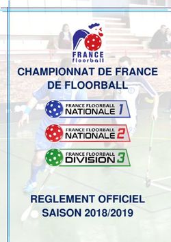CHAMPIONNAT DE FRANCE DE FLOORBALL - REGLEMENT OFFICIEL SAISON 2018/2019 - France Floorball