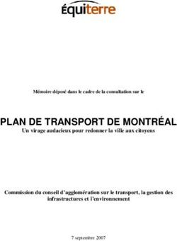 PLAN DE TRANSPORT DE MONTR&Eacute;AL