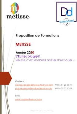METISSE Proposition de Formations