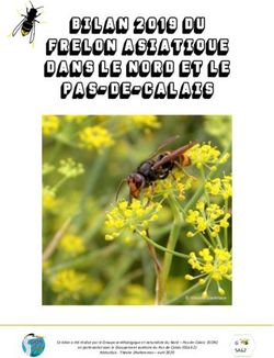 BILAN 2019 DU FRELON ASIATIQUE DANS LE NORD ET LE PAS-DE-CALAIS - Gon