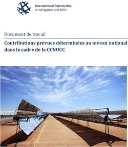 Contributions pr&eacute;vues d&eacute;termin&eacute;es au niveau national dans le cadre de la CCNUCC - Document de travail