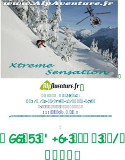 Héliski Valais Suisse 2020 - GHIGGINO Thierry Guide de haute montagne-DE Canyon Port: +33(0)670705557 - alpaventure