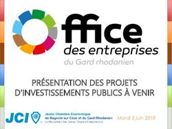 PRÉSENTATION DES PROJETS D'INVESTISSEMENTS PUBLICS À VENIR - Mardi 5 juin 2018