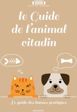 Le Guide de l'animal citadin - Le guide des bonnes pratiques puteaux.fr - Mairie de Puteaux