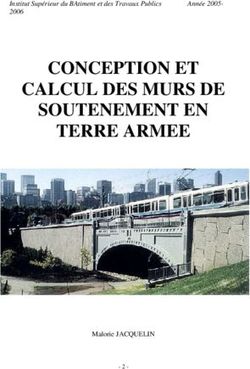 CONCEPTION ET CALCUL DES MURS DE SOUTENEMENT EN TERRE ARMEE - Institut Supérieur du BAtiment et des Travaux Publics 2006