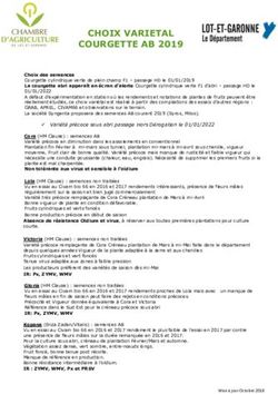 CHOIX VARIETAL COURGETTE AB 2019 - Chambre d ...