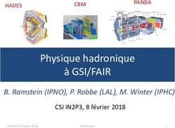 Physique hadronique à GSI/FAIR - B. Ramstein (IPNO), P. Robbe (LAL), M. Winter (IPHC) - IN2P3