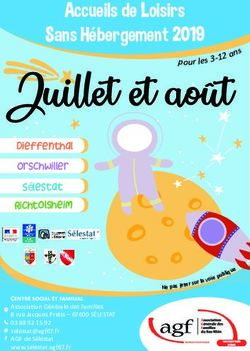 Accueils de Loisirs Sans Hébergement 2019 - Centre Social et Familial de l'AGF de Sélestat