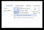 Guide adapt&eacute; des normes de l'American Psychological Association (APA) 6e &eacute;dition - Monthey