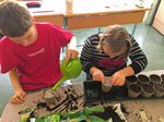 " Plantons made in St-Guérin " : un projet en classe d'adaptation