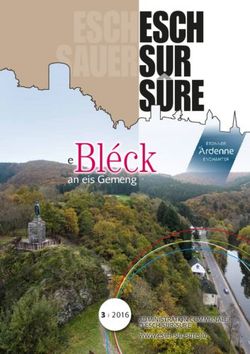 ESCH SUR SURE - eBl&eacute;ck an eis Gemeng